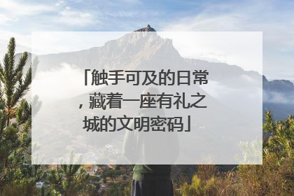 触手可及的日常，藏着一座有礼之城的文明密码