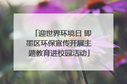 迎世界环境日 即墨区环保宣传开展主题教育进校园活动