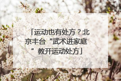 运动也有处方？北京丰台“武术进家庭”教开运动处方