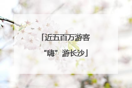 近五百万游客“嗨”游长沙