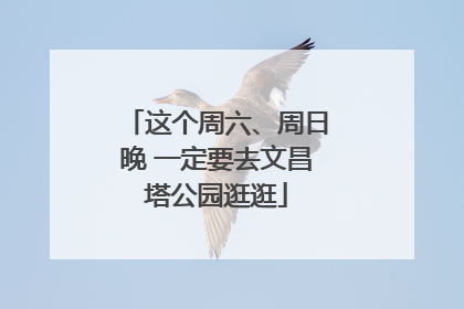 这个周六、周日晚 一定要去文昌塔公园逛逛
