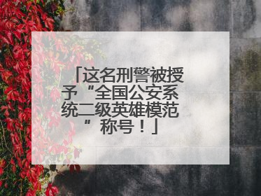 这名刑警被授予“全国公安系统二级英雄模范”称号！