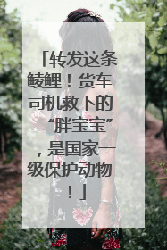转发这条鲮鲤！货车司机救下的“胖宝宝”，是国家一级保护动物！