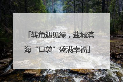 转角遇见绿，盐城滨海“口袋”盛满幸福