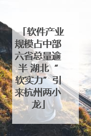 软件产业规模占中部六省总量逾半 湖北“软实力”引来杭州两小龙