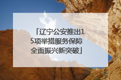 辽宁公安推出15项举措服务保障全面振兴新突破