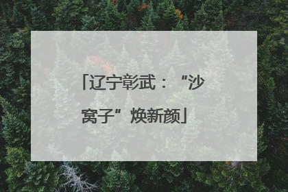 辽宁彰武：“沙窝子”焕新颜