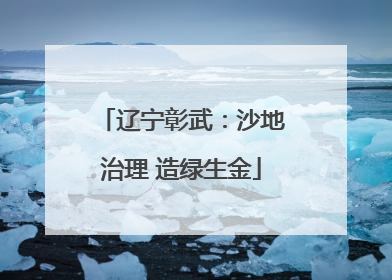 辽宁彰武：沙地治理 造绿生金