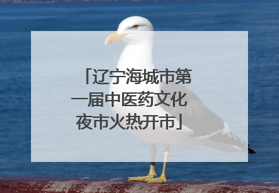 辽宁海城市第一届中医药文化夜市火热开市