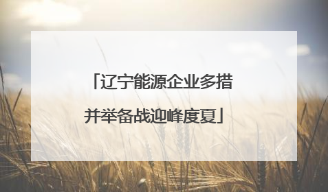 辽宁能源企业多措并举备战迎峰度夏