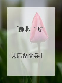 豫北“飞”来后备尖兵