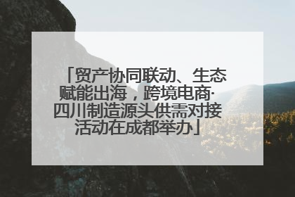 贸产协同联动、生态赋能出海，跨境电商·四川制造源头供需对接活动在成都举办
