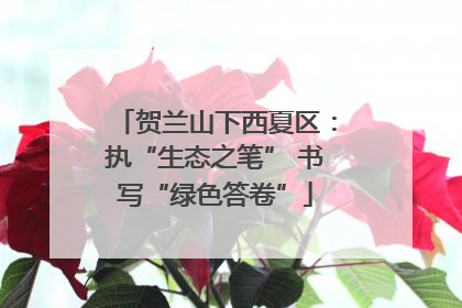贺兰山下西夏区：执“生态之笔” 书写“绿色答卷”
