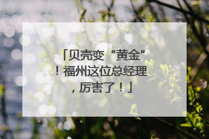 贝壳变“黄金”！福州这位总经理，厉害了！