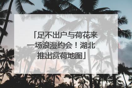 足不出户与荷花来一场浪漫约会！湖北推出赏荷地图