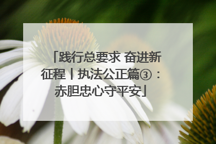 践行总要求 奋进新征程丨执法公正篇③：赤胆忠心守平安
