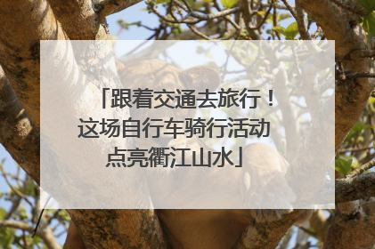 跟着交通去旅行！这场自行车骑行活动点亮衢江山水