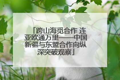 跨山海觅合作 连亚欧通万里——中国新疆与东盟合作向纵深突破观察