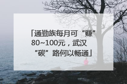 通勤族每月可“赚”80~100元，武汉“碳”路何以畅通