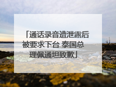 通话录音遭泄露后被要求下台 泰国总理佩通坦致歉
