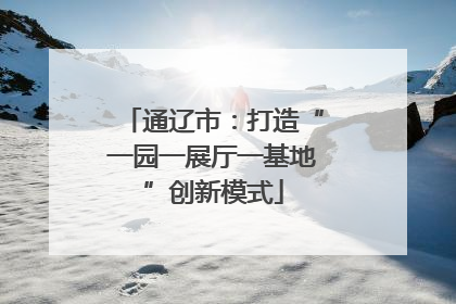 通辽市：打造“一园一展厅一基地”创新模式