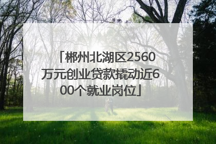 郴州北湖区2560万元创业贷款撬动近600个就业岗位