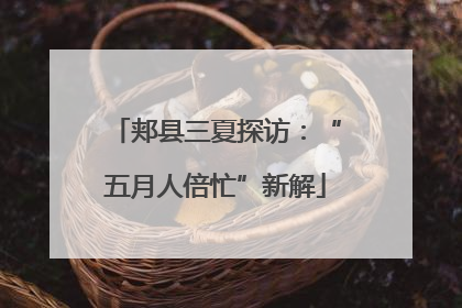 郏县三夏探访：“五月人倍忙”新解
