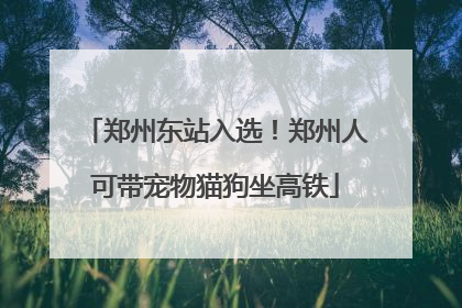 郑州东站入选！郑州人可带宠物猫狗坐高铁