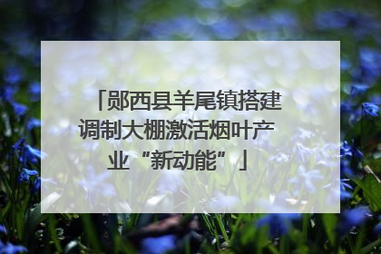 郧西县羊尾镇搭建调制大棚激活烟叶产业“新动能”