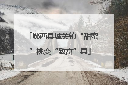 郧西县城关镇“甜蜜”桃变“致富”果