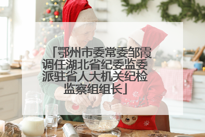 鄂州市委常委邹霞调任湖北省纪委监委派驻省人大机关纪检监察组组长