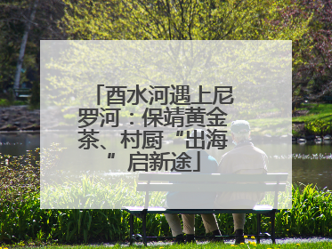 酉水河遇上尼罗河：保靖黄金茶、村厨“出海”启新途