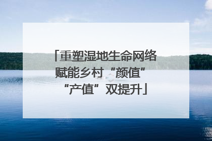 重塑湿地生命网络 赋能乡村“颜值”“产值”双提升