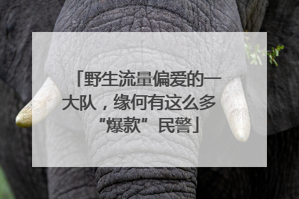 野生流量偏爱的一大队，缘何有这么多“爆款”民警