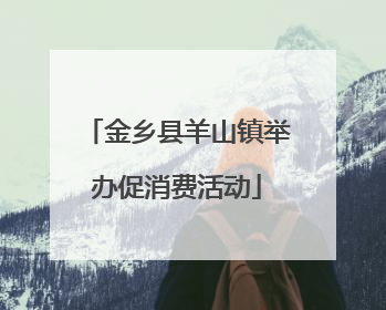 金乡县羊山镇举办促消费活动