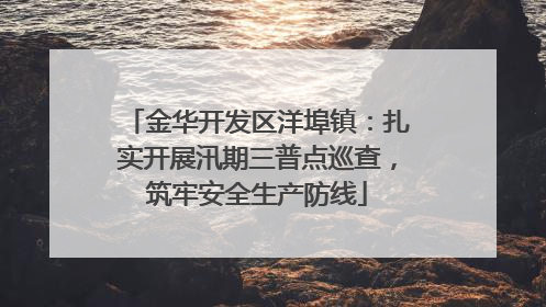 金华开发区洋埠镇：扎实开展汛期三普点巡查，筑牢安全生产防线