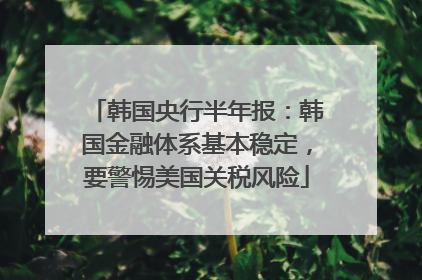 韩国央行半年报：韩国金融体系基本稳定，要警惕美国关税风险