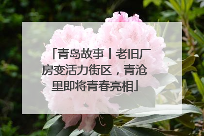 青岛故事丨老旧厂房变活力街区，青沧里即将青春亮相