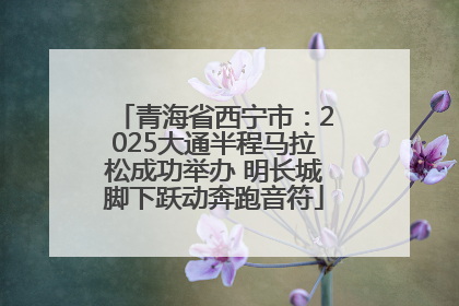 青海省西宁市：2025大通半程马拉松成功举办 明长城脚下跃动奔跑音符