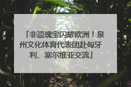 非遗瑰宝闪耀欧洲！泉州文化体育代表团赴匈牙利、塞尔维亚交流