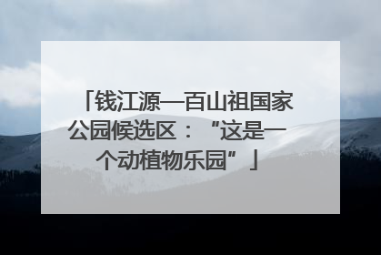 钱江源—百山祖国家公园候选区：“这是一个动植物乐园”