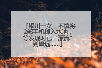 银川一女士不慎将2部手机掉入水池，等发现时已“漂流”到望远……