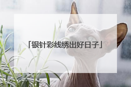 银针彩线绣出好日子