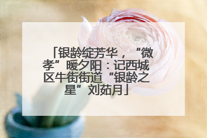 银龄绽芳华，“微孝”暖夕阳：记西城区牛街街道“银龄之星”刘茹月