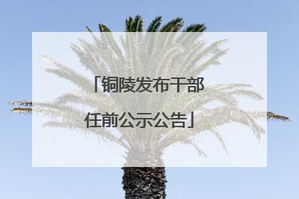 铜陵发布干部任前公示公告