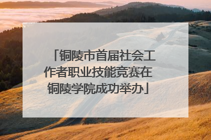 铜陵市首届社会工作者职业技能竞赛在铜陵学院成功举办
