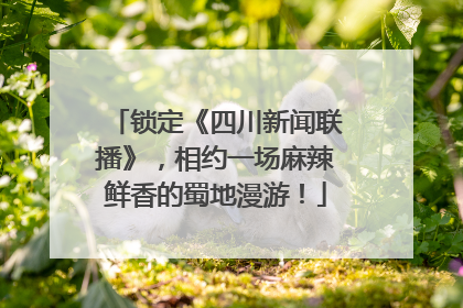 锁定《四川新闻联播》，相约一场麻辣鲜香的蜀地漫游！