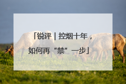 锐评｜控烟十年，如何再“禁”一步