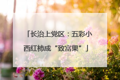 长治上党区：五彩小西红柿成“致富果”