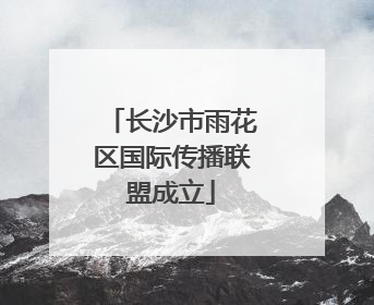 长沙市雨花区国际传播联盟成立